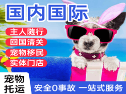 海浪机场空运国际宠物托运 【国